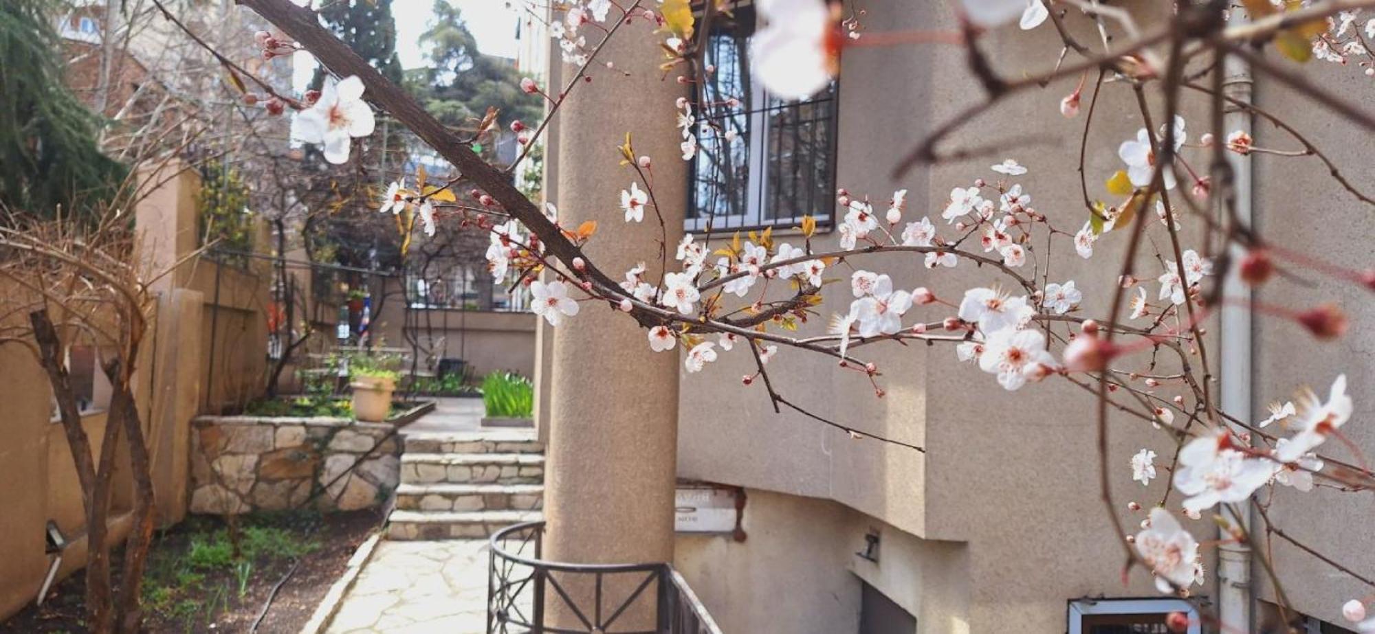 Iliani Hotel Tbilisi Buitenkant foto